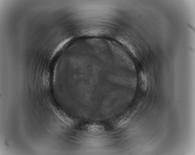 X0000096700400200803041325