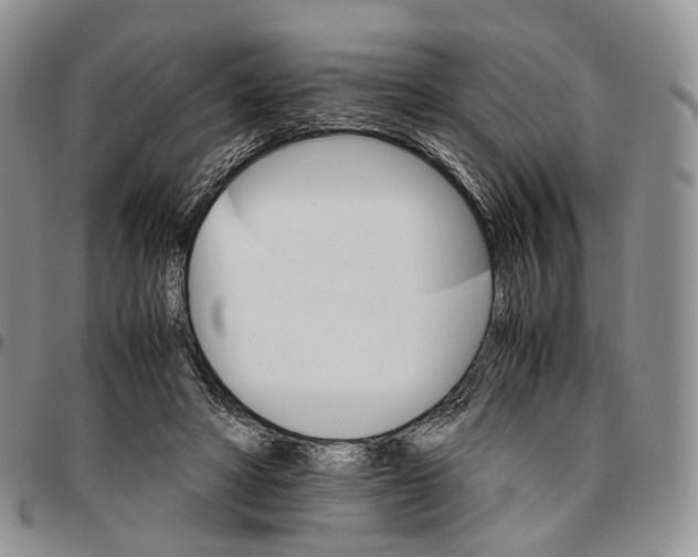 X0000096700402200803041325