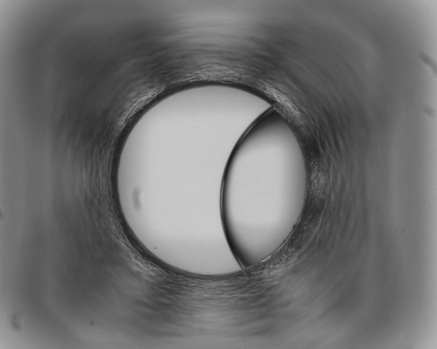 X0000096700403200803041325