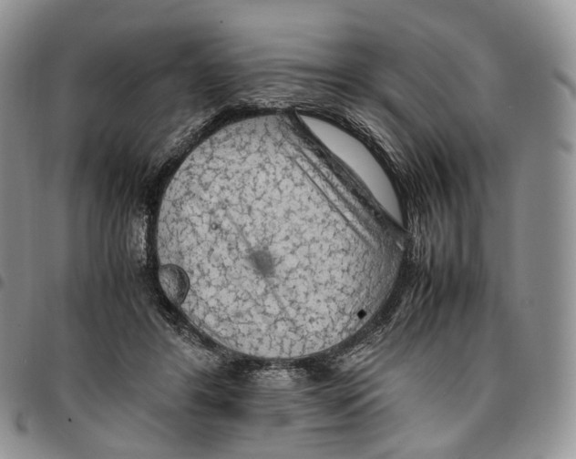 X0000096700404200803041325