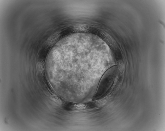 X0000096700409200803041325