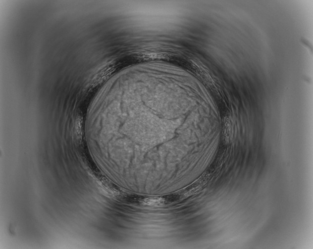 X0000096700410200803041325