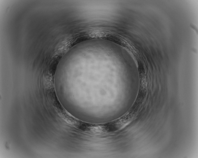X0000096700411200803041325