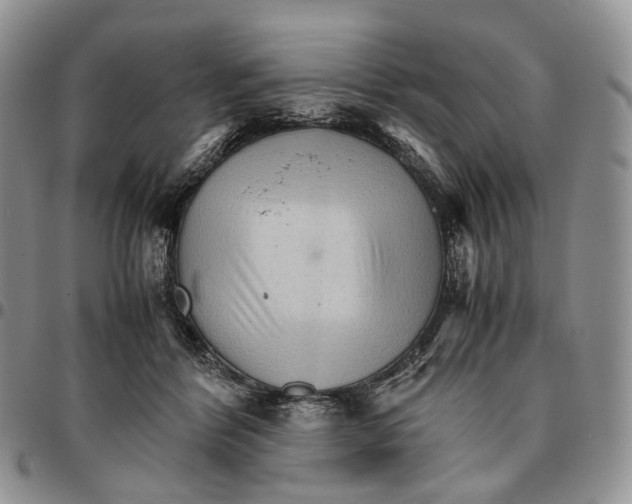 X0000096700412200803041325