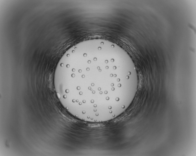 X0000096700414200803041325