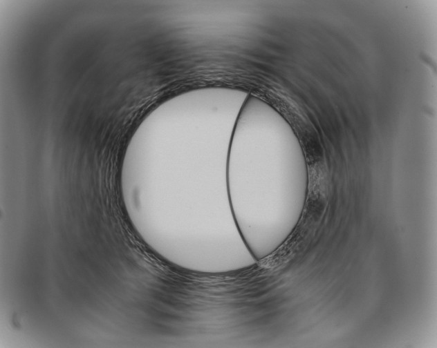 X0000096700417200803041325