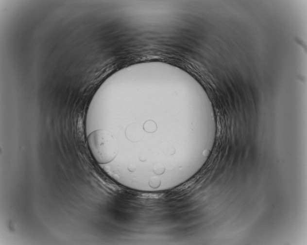 X0000096700418200803041325