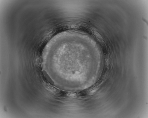 X0000096700419200803041325