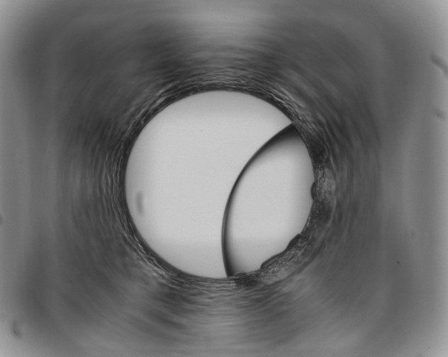 X0000096700421200803041325