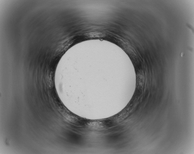 X0000096700422200803041325