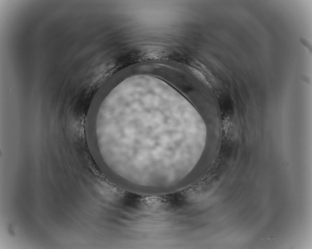 X0000096700423200803041325