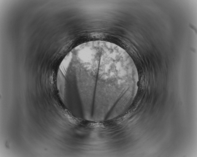 X0000096700424200803041325
