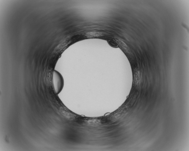 X0000096700426200803041325
