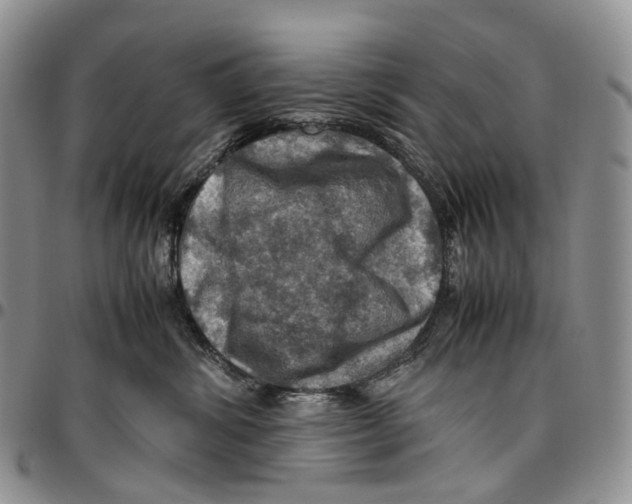 X0000096700428200803041325