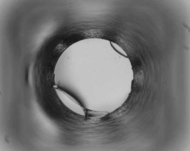 X0000096700429200803041325