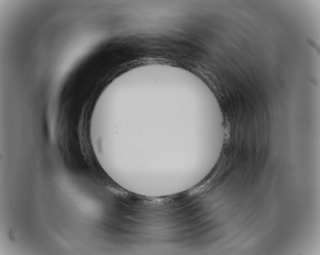 X0000096700430200803041325