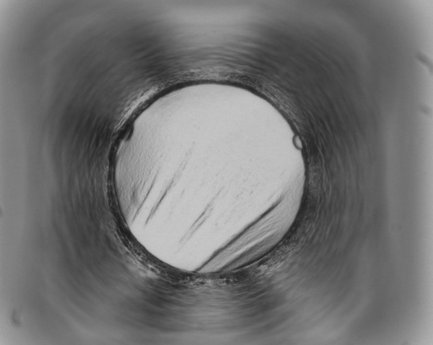 X0000096700434200803041324