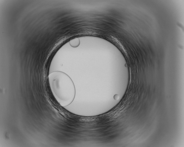 X0000096700435200803041324