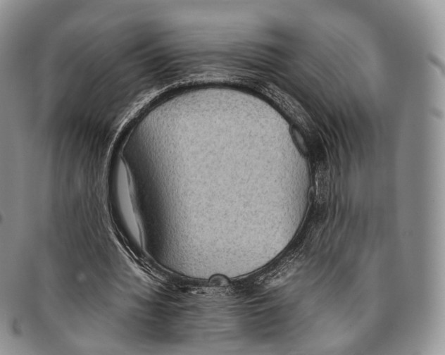 X0000096700436200803041324