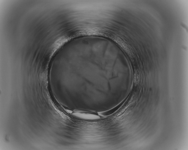 X0000096700438200803041324