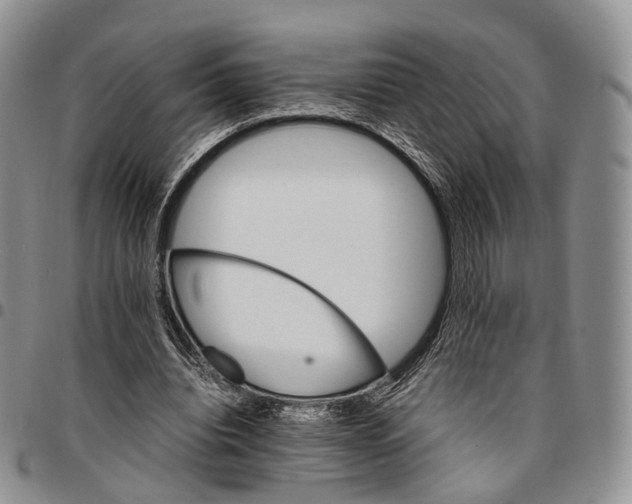 X0000096700440200803041324