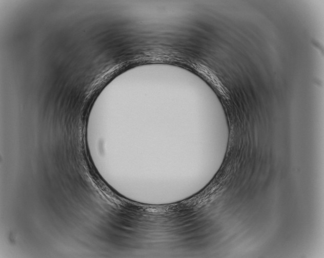 X0000096700442200803041324