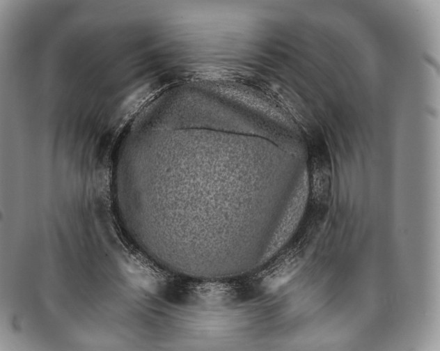 X0000096700444200803041324