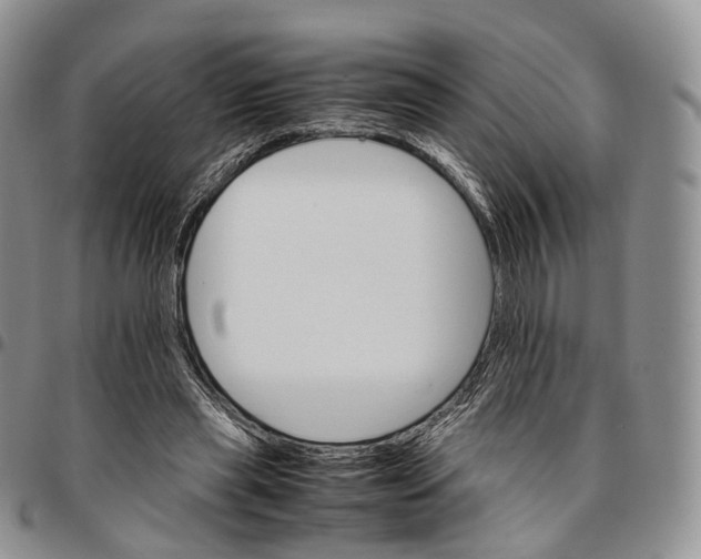 X0000096700445200803041324