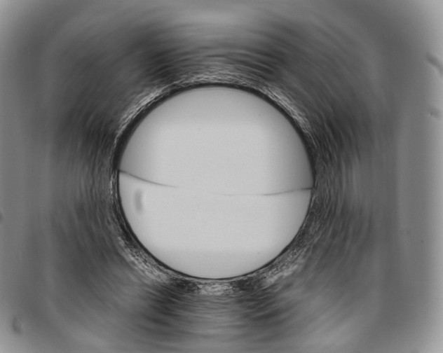 X0000096700446200803041324