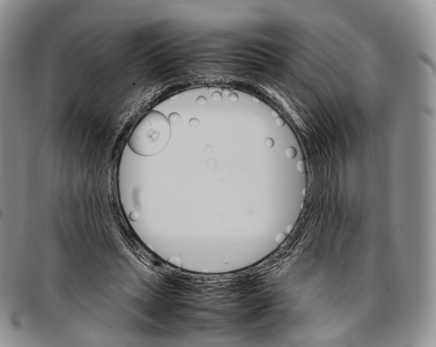 X0000096700447200803041324
