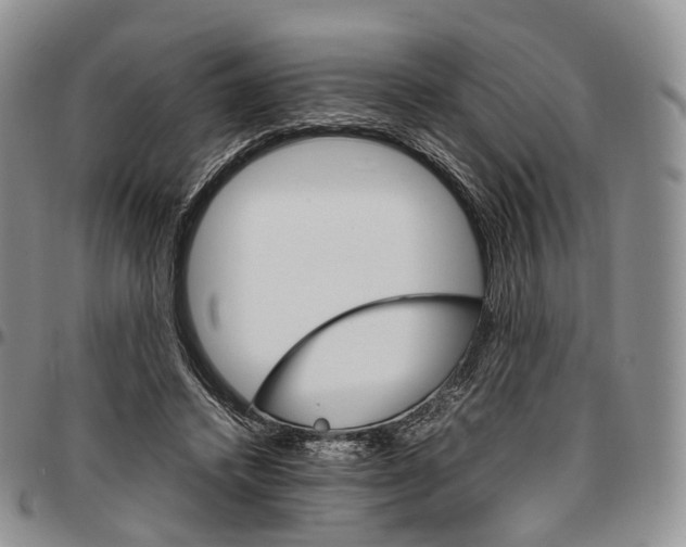 X0000096700448200803041324