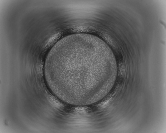 X0000096700450200803041324