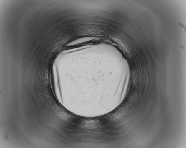 X0000096700453200803041324