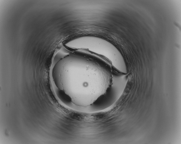 X0000096700456200803041324