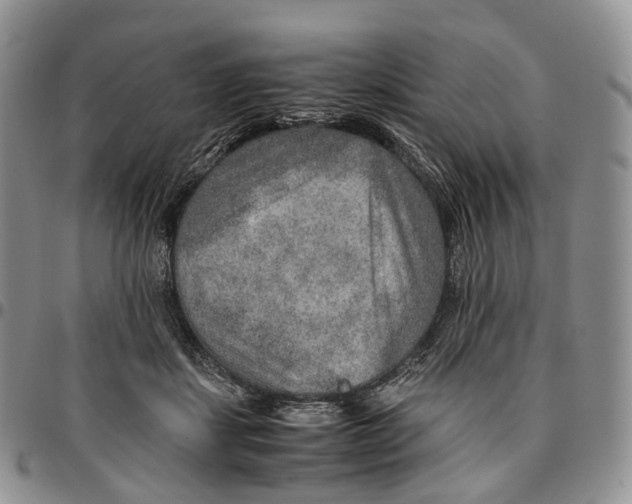 X0000096700459200803041324