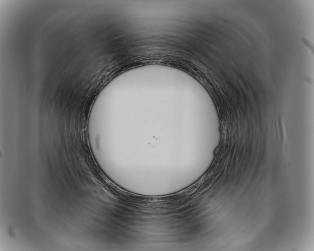 X0000096700460200803041324