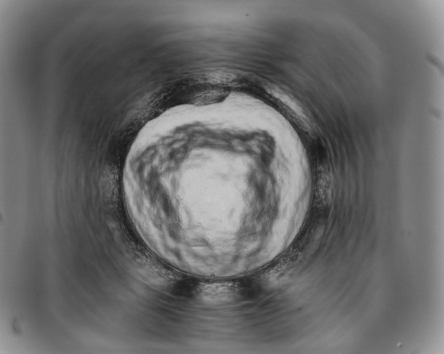 X0000096700461200803041324