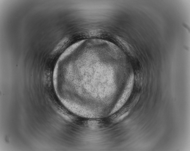 X0000096700462200803041324