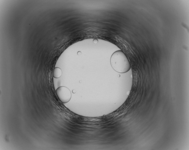 X0000096700463200803041324