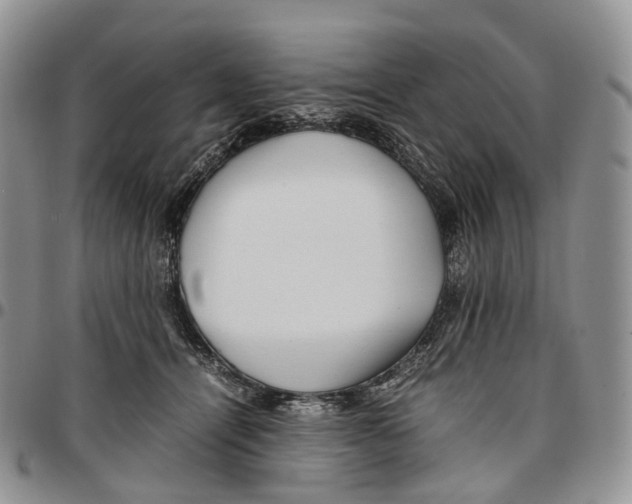 X0000096700464200803041324