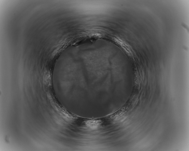 X0000096700465200803041324