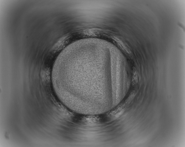 X0000096700466200803041324