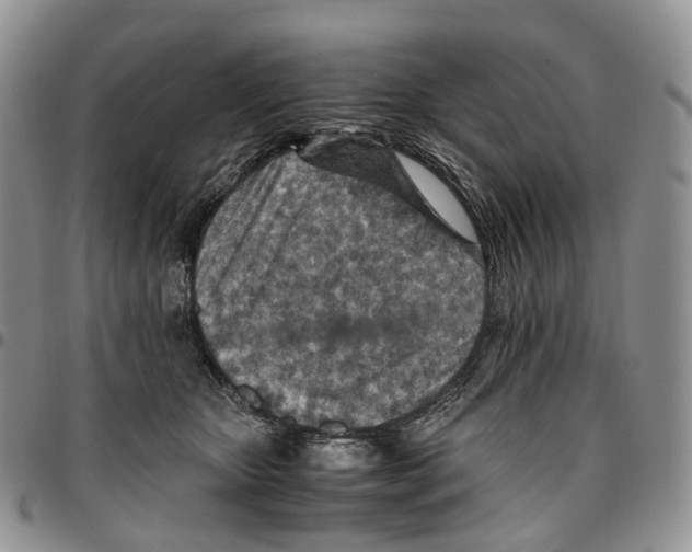 X0000096700467200803041324