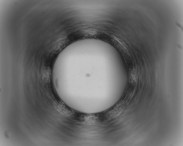 X0000096700468200803041324