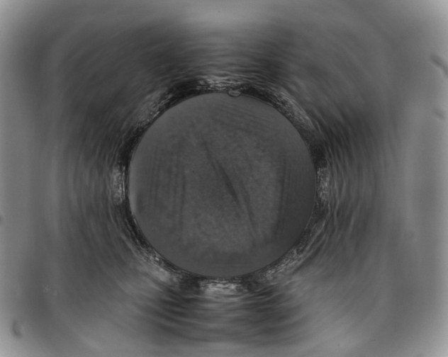 X0000096700471200803041324