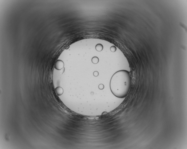 X0000096700474200803041324