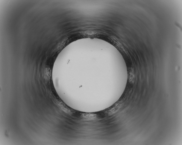 X0000096700476200803041325