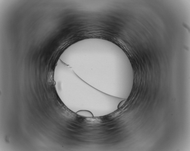 X0000096700477200803041325