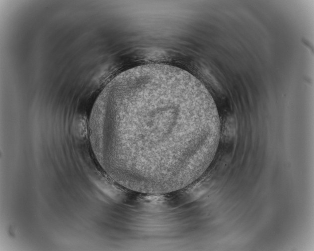 X0000096700478200803041325