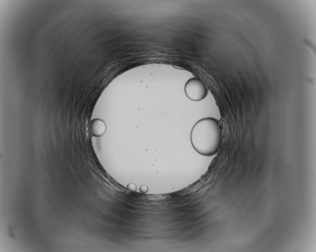 X0000096700479200803041325